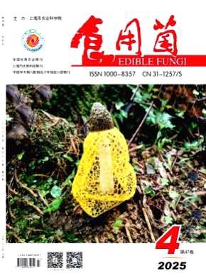 食用菌杂志